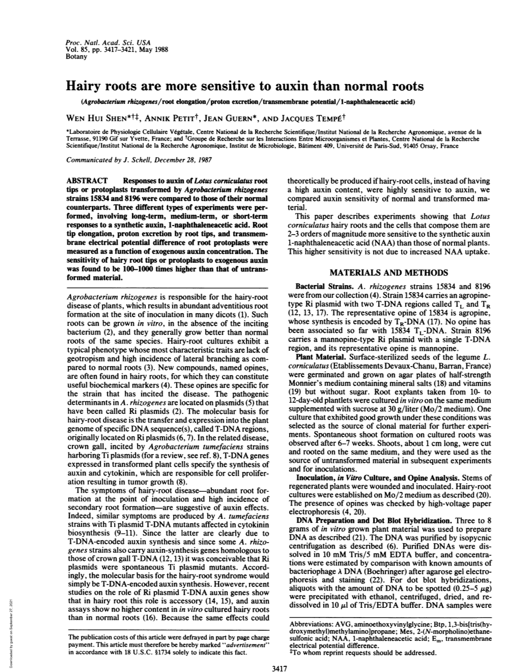 Hairy Roots Are More Sensitive to Auxin Than Normal Roots