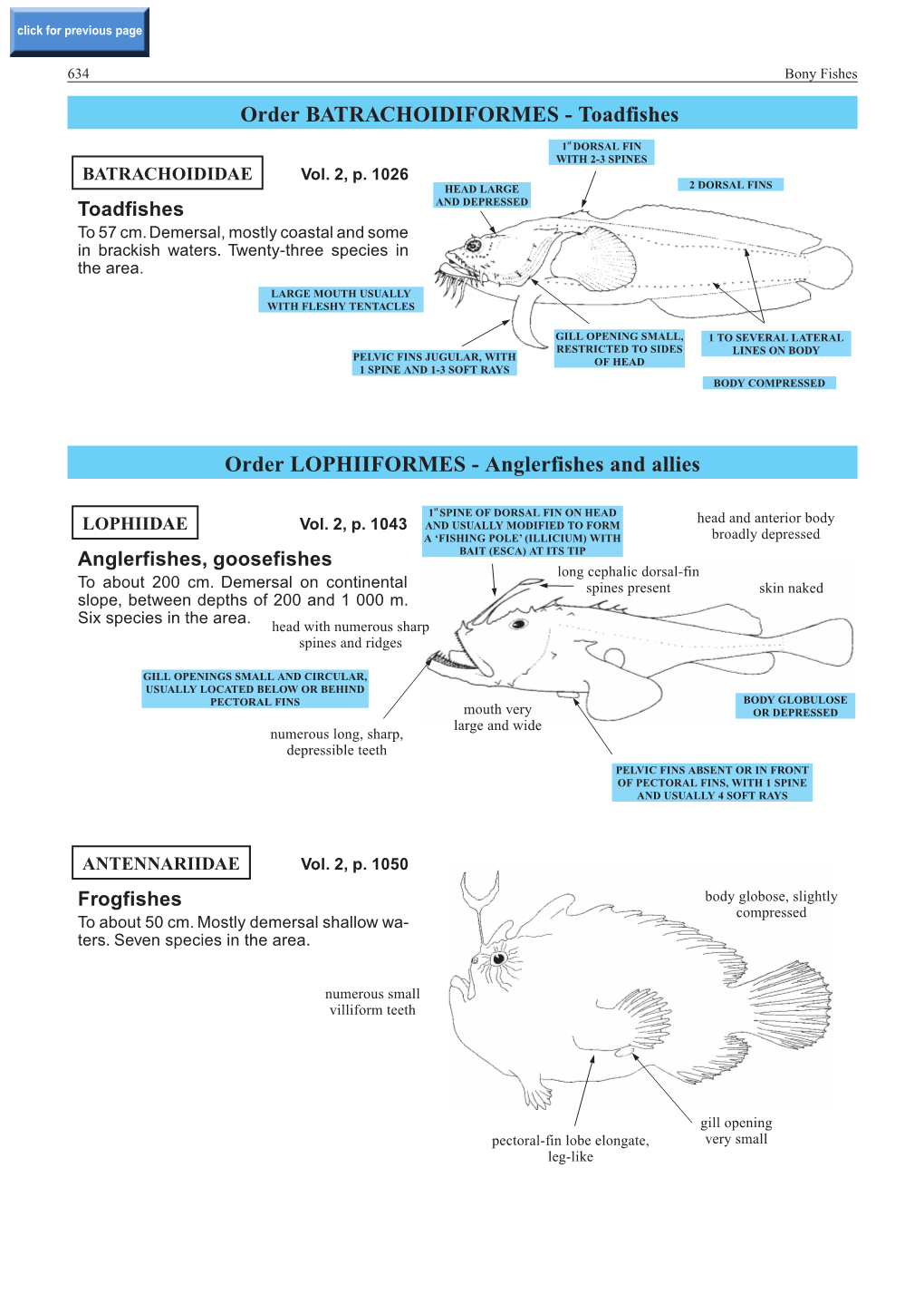 Order BATRACHOIDIFORMES - Toadfishes
