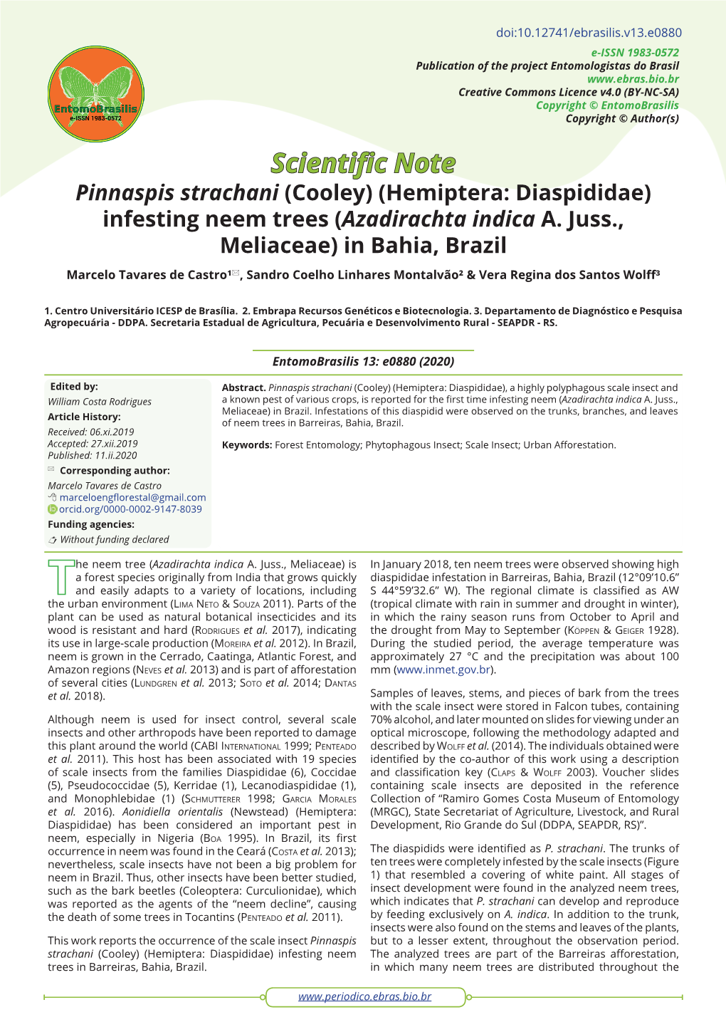 Pinnaspis Strachani (Cooley) (Hemiptera: Diaspididae) Infesting Neem Trees (Azadirachta Indica A