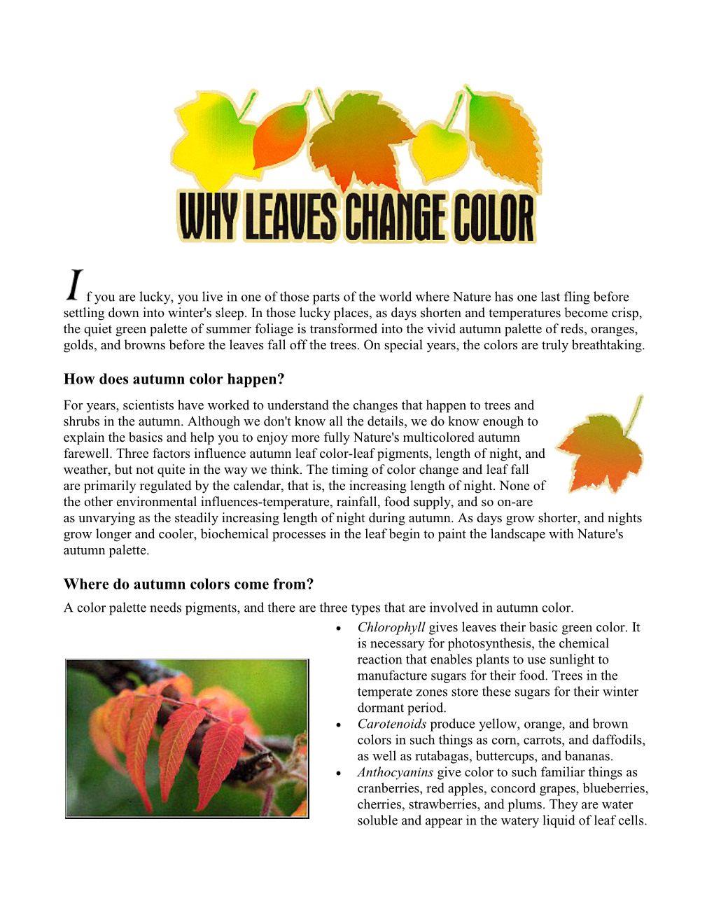 How Does Autumn Color Happen? for Years, Scientists Have Worked to Understand the Changes That Happen to Trees and Shrubs in the Autumn