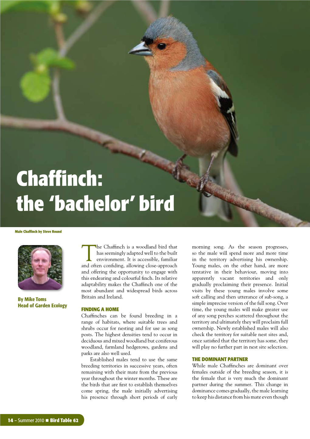 Chaffinch: the 'Bachelor' Bird