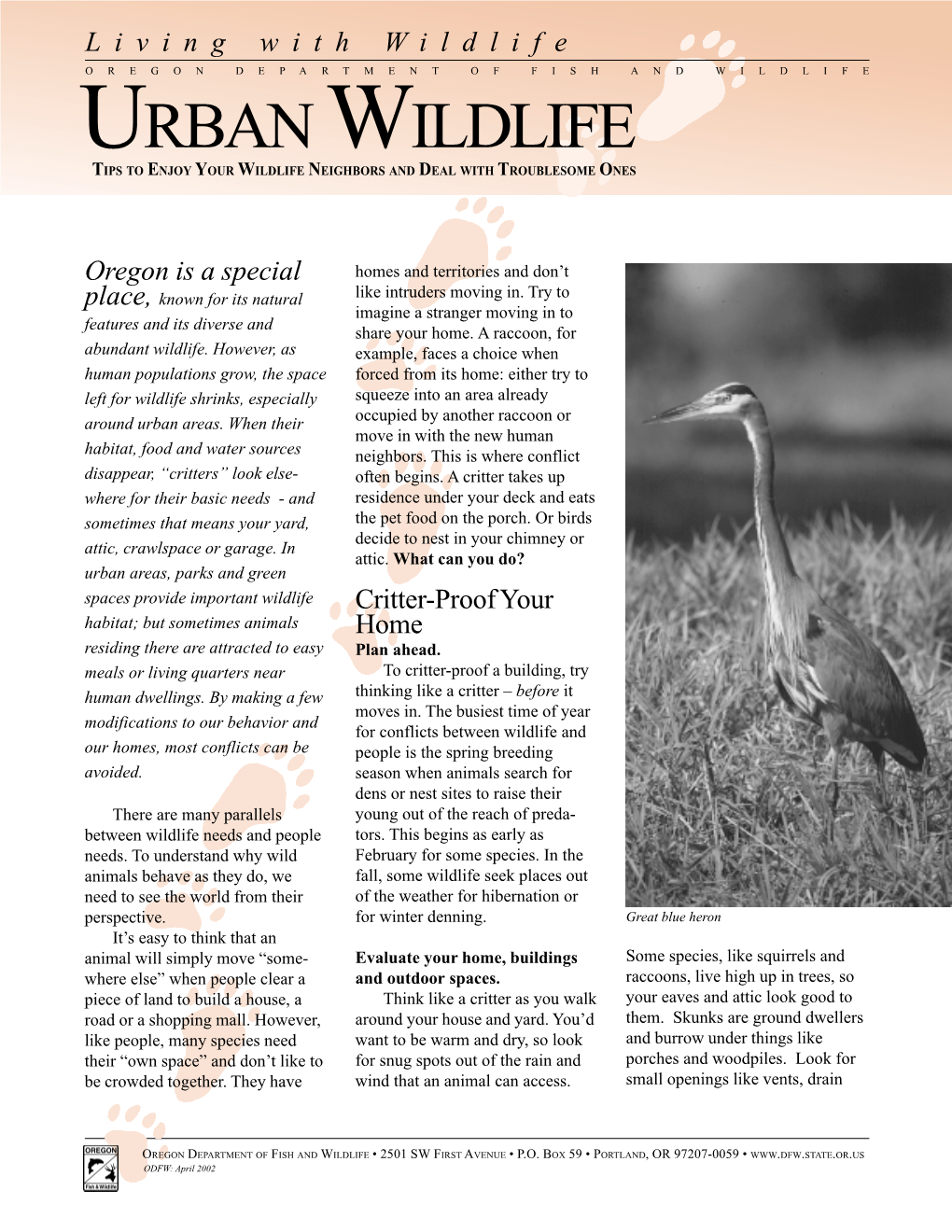 Living with Urban Wildlife Brochure