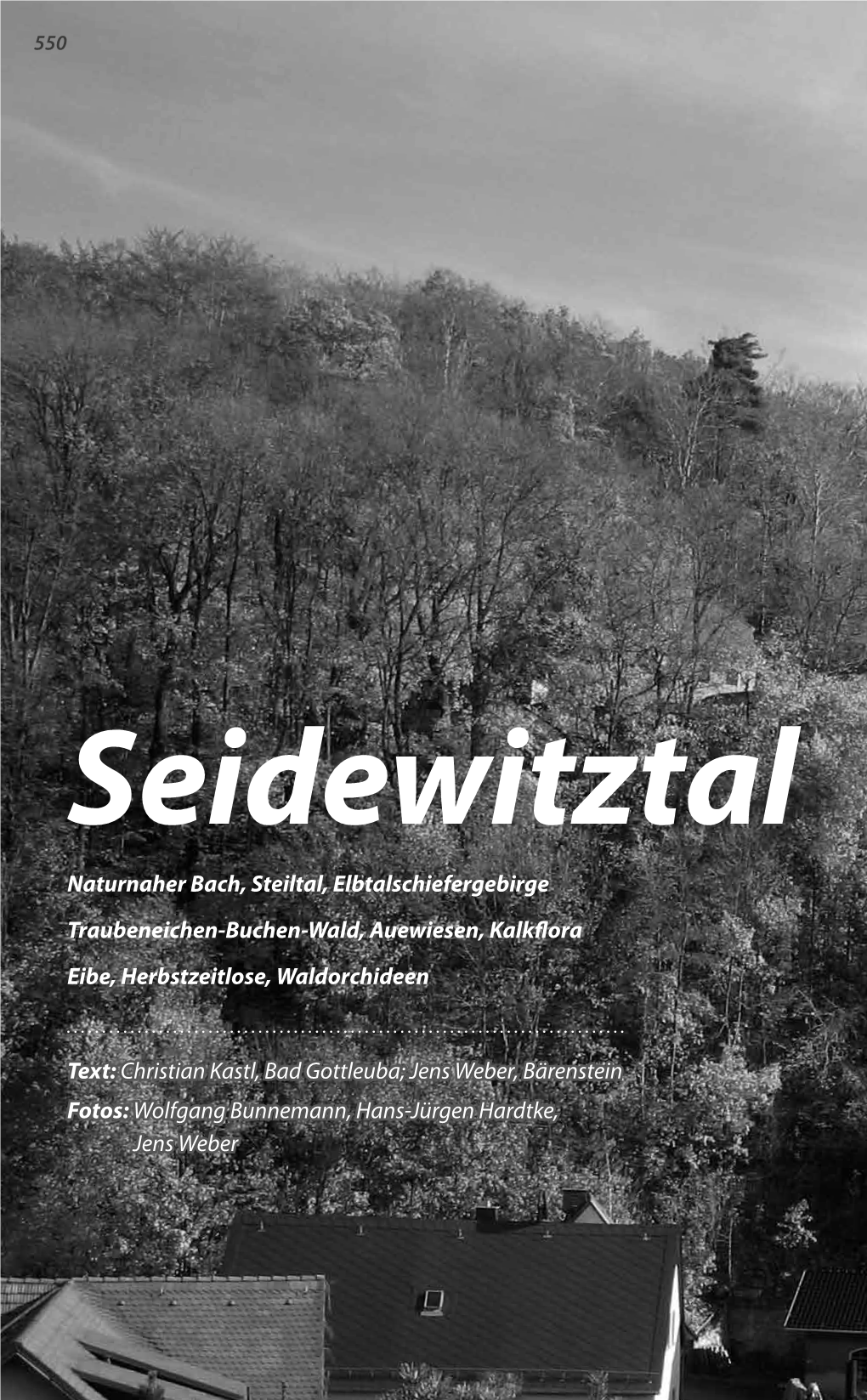 Seidewitztal Naturnaher Bach, Steiltal, Elbtalschiefergebirge Traubeneichen-Buchen-Wald, Auewiesen, Kalkflora Eibe, Herbstzeitlose, Waldorchideen