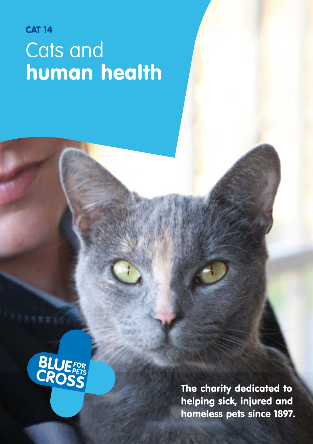 Cats and Human Health