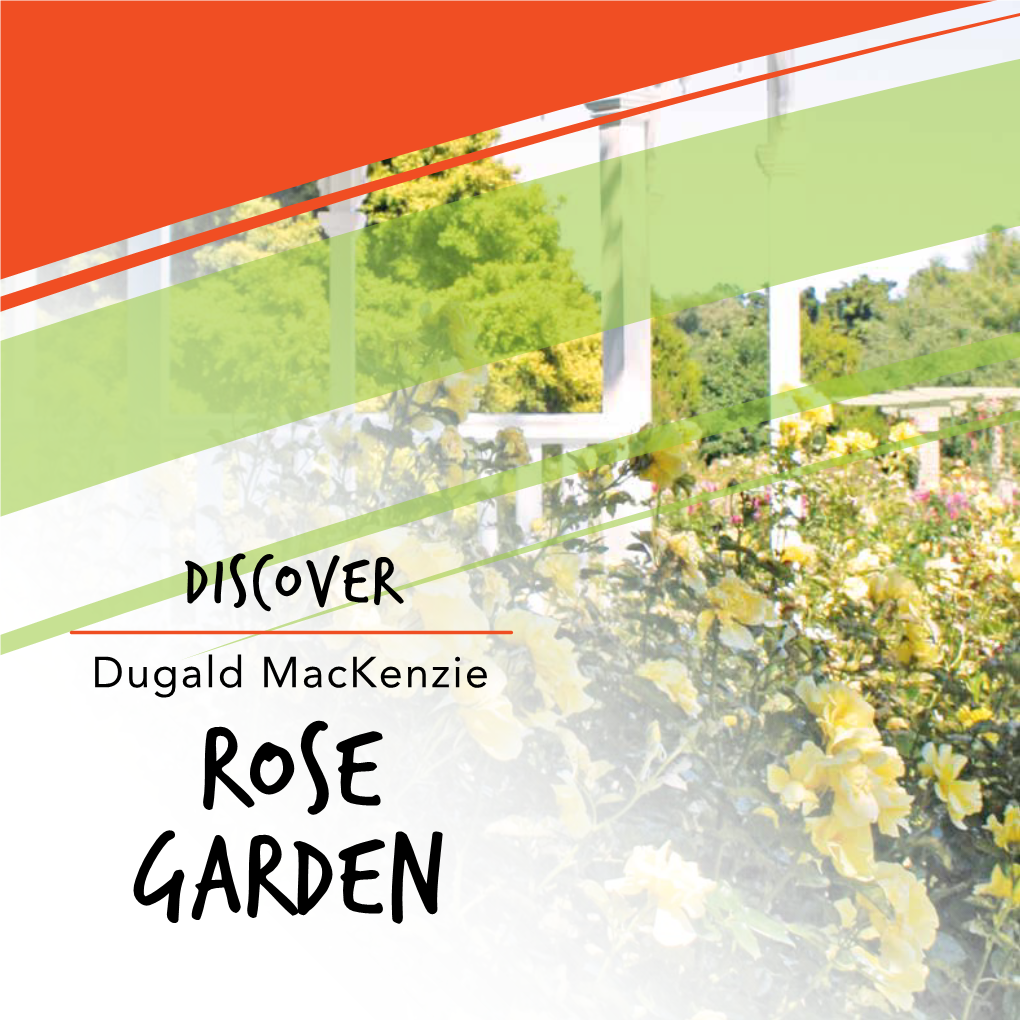Discover Dugald Mackenzie Rose Garden Discover