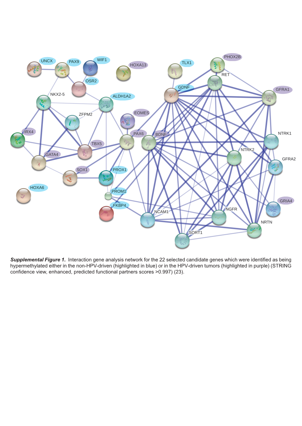 Supplemental Figure 1. Interaction Gene Analysis Network For
