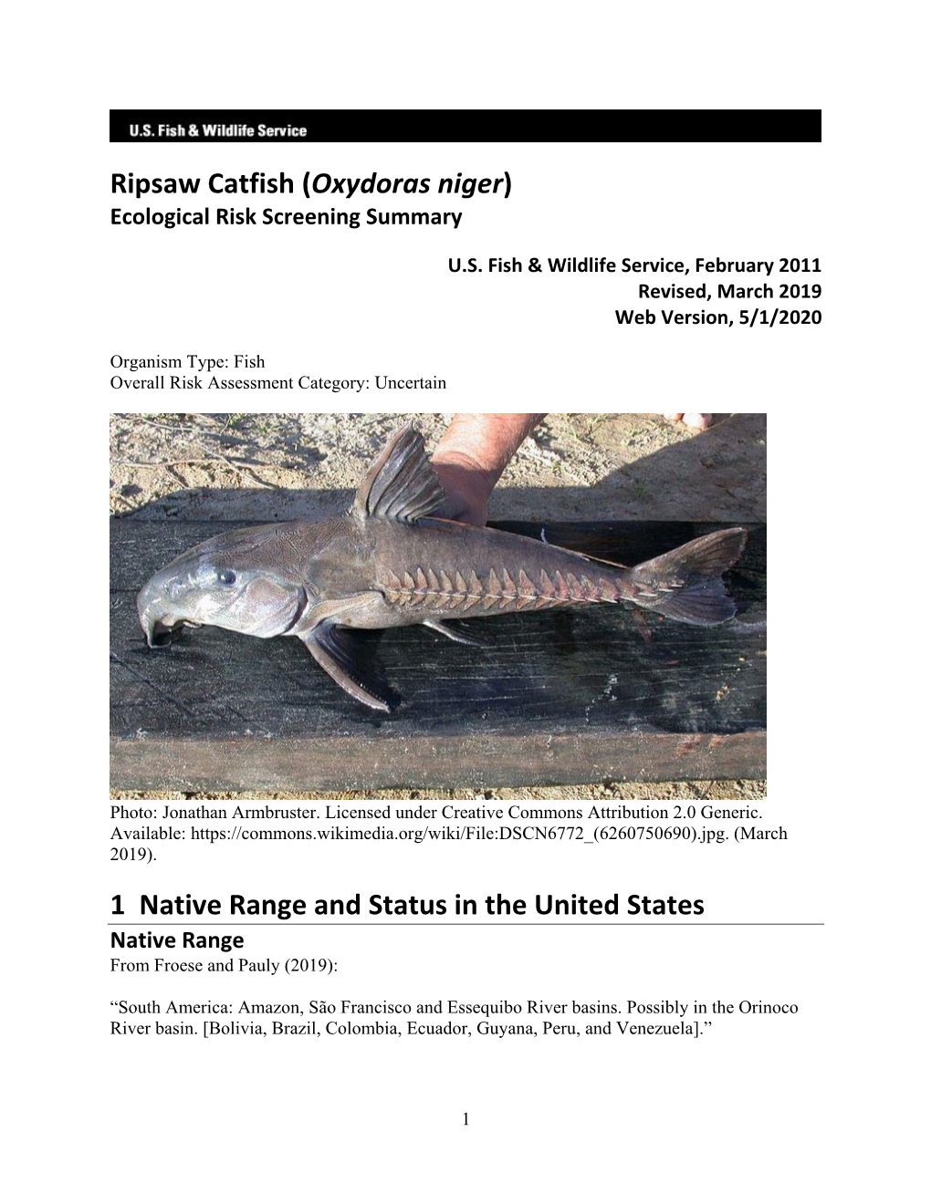 Ripsaw Catfish (Oxydoras Niger) Ecological Risk Screening Summary