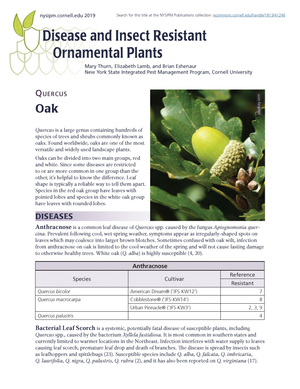 Disease and Insect Resistant Ornamental Plants: Quercus (Oak)