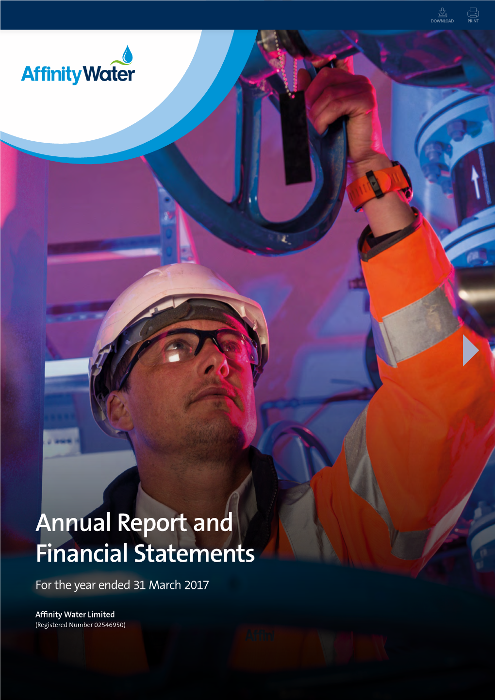 Annual Report and Financial Statements for the Year Ended 31 March 2017