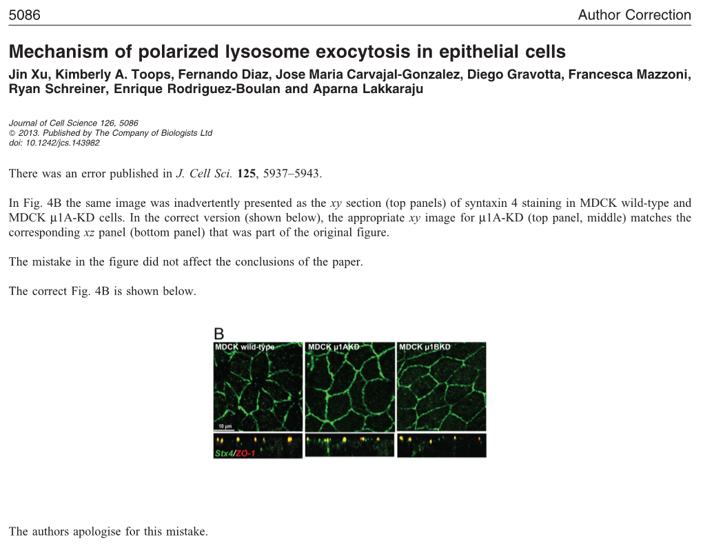 Mechanism of Polarized Lysosome Exocytosis in Epithelial Cells Jin Xu, Kimberly A