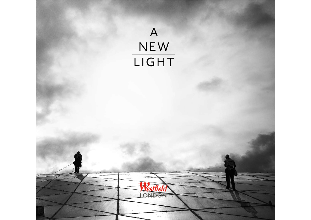 A New Light the Vision