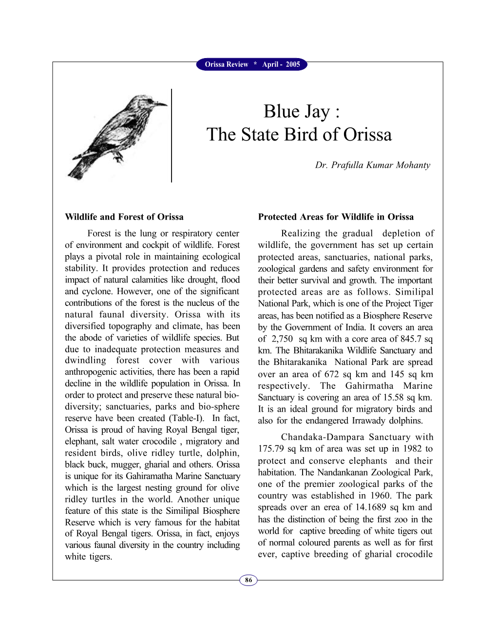 Blue Jay : the State Bird of Orissa