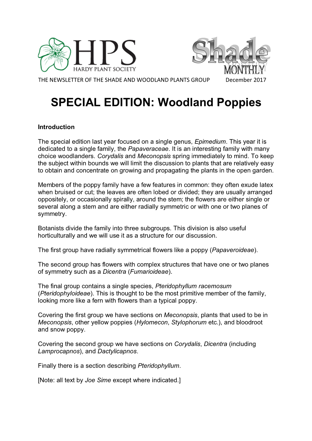 SPECIAL EDITION: Woodland Poppies