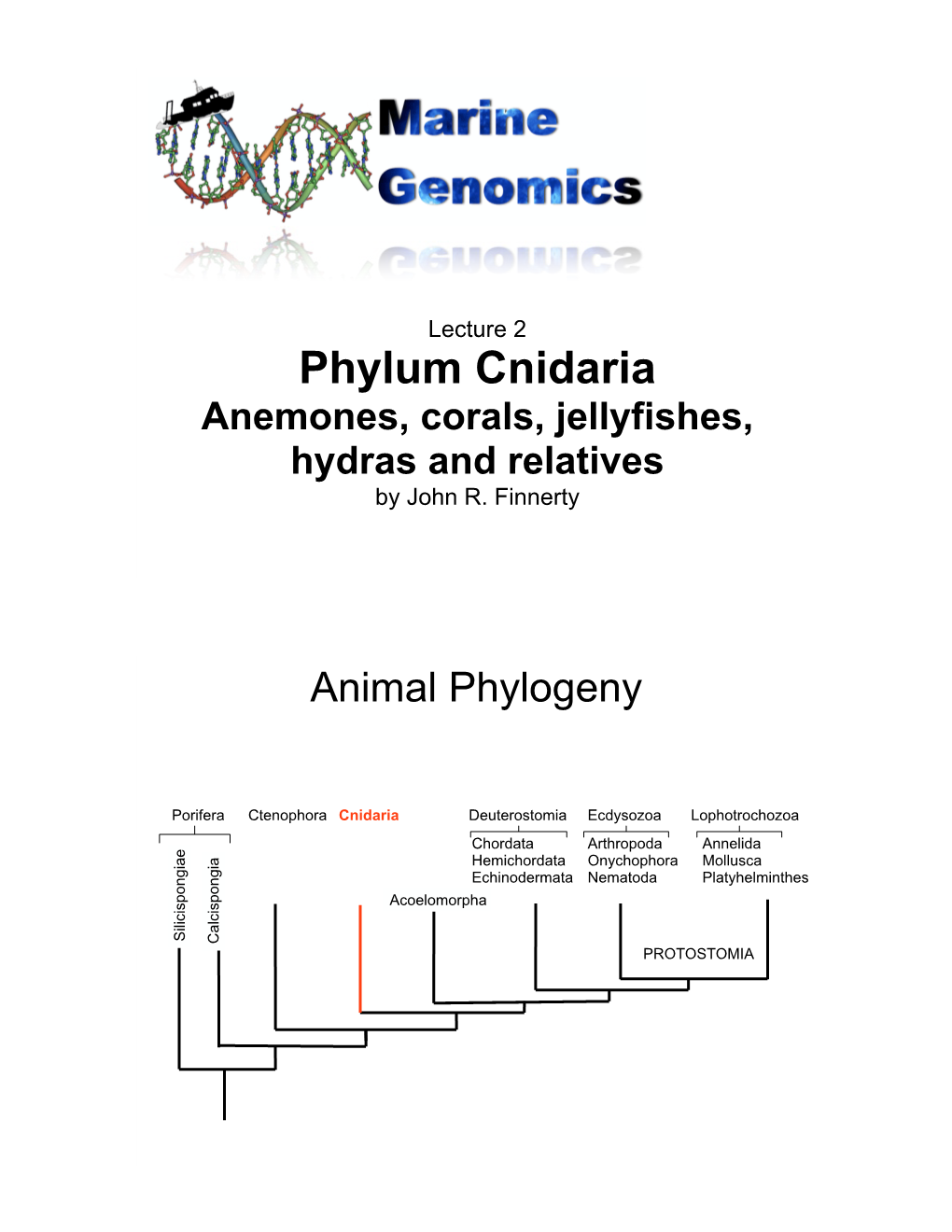 Phylum Cnidaria Anemones, Corals, Jellyfishes, Hydras and Relatives by John R