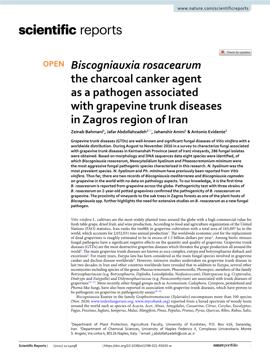 Biscogniauxia Rosacearum the Charcoal Canker Agent As A