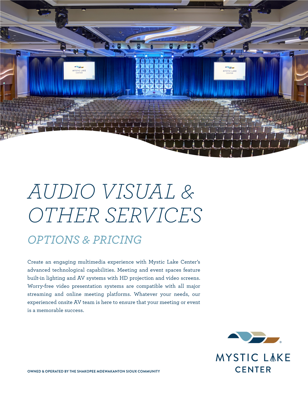 Audio Visual & Other Services