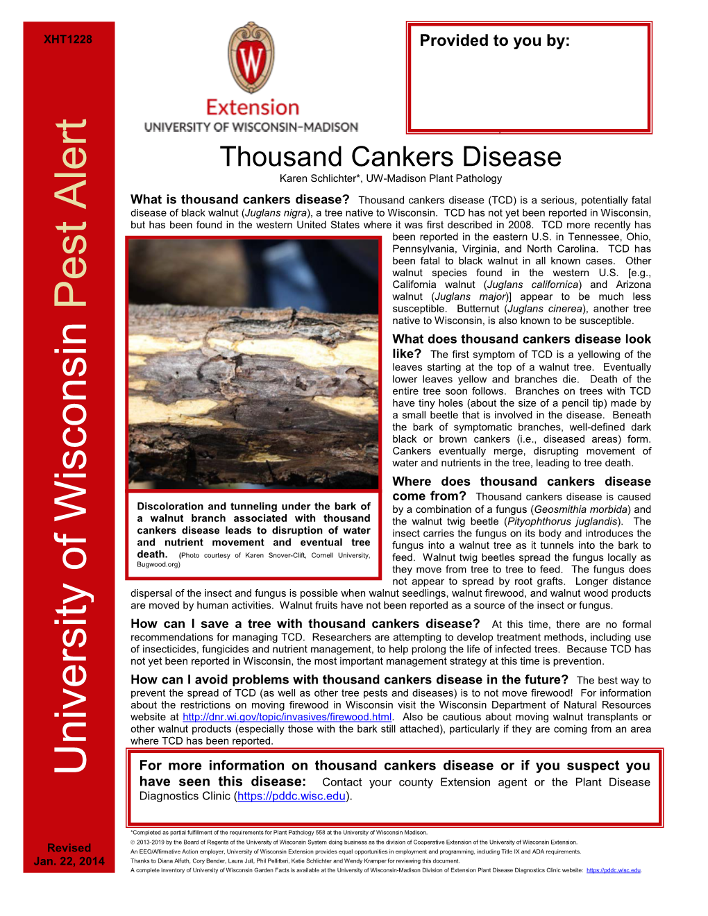 Thousand Cankers Disease Karen Schlichter*, UW-Madison Plant Pathology