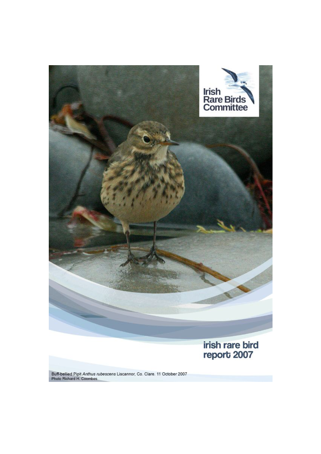 Irish Rare Bird Report 2007