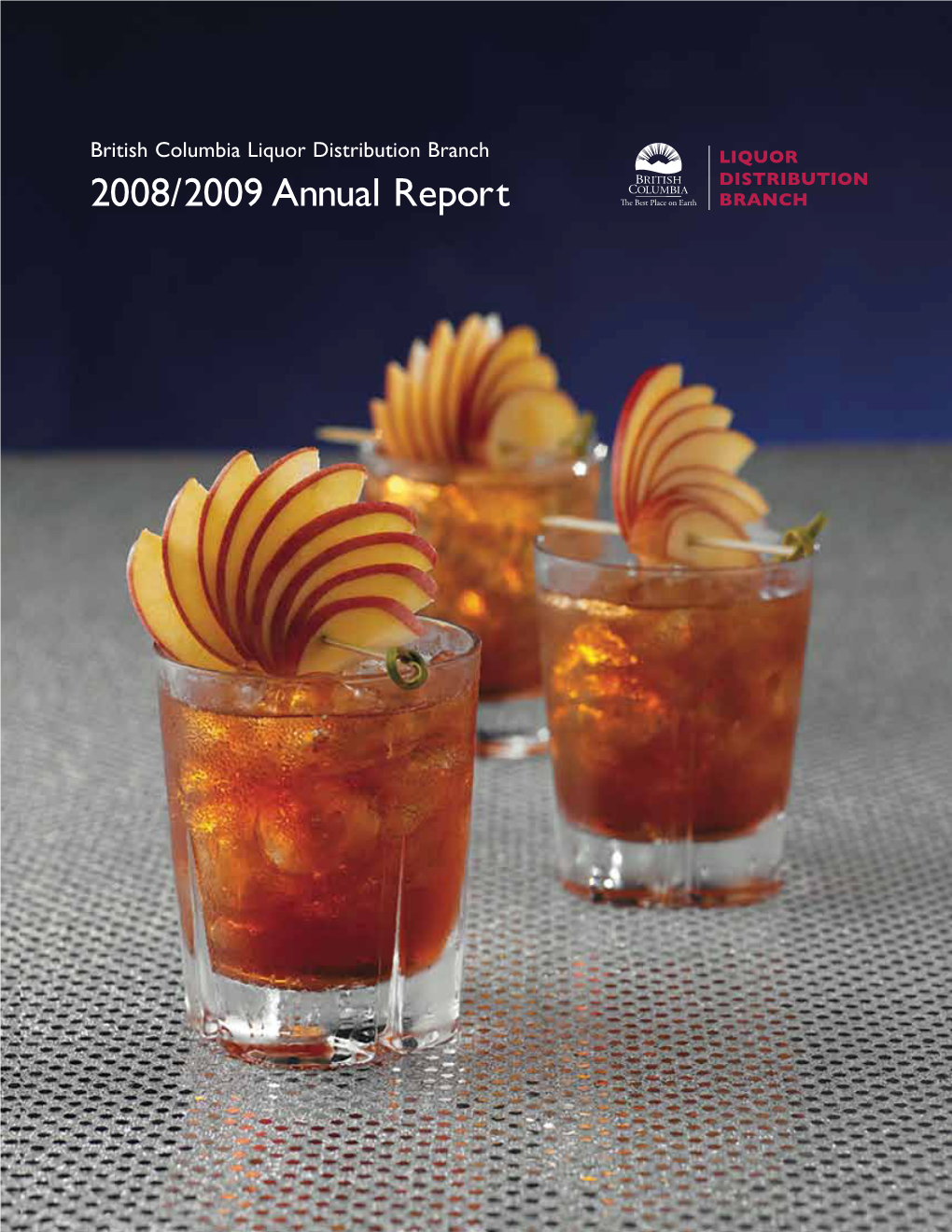 2008/2009 Annual Report