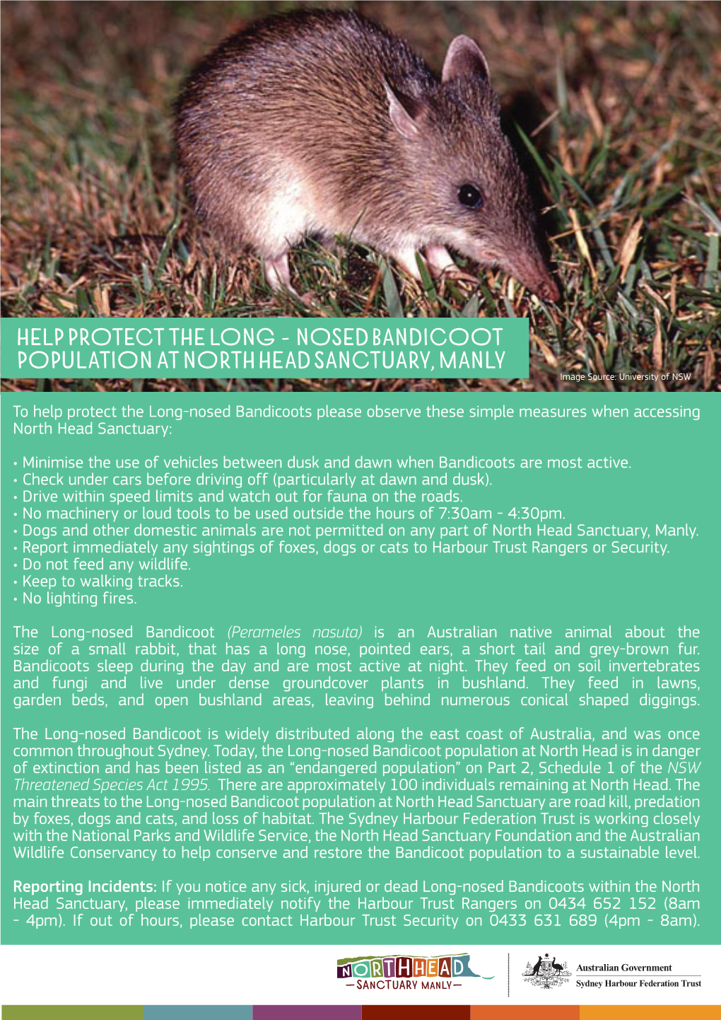 Help Protect the Long -Nosed Bandicoot Population at North Head Sanctuary, Manly Image Source: University of NSW