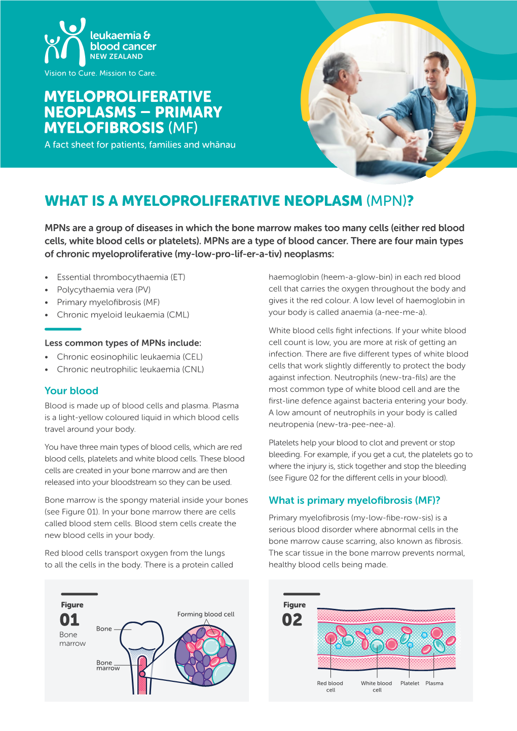 PRIMARY MYELOFIBROSIS (MF) a Fact Sheet for Patients, Families and Whānau