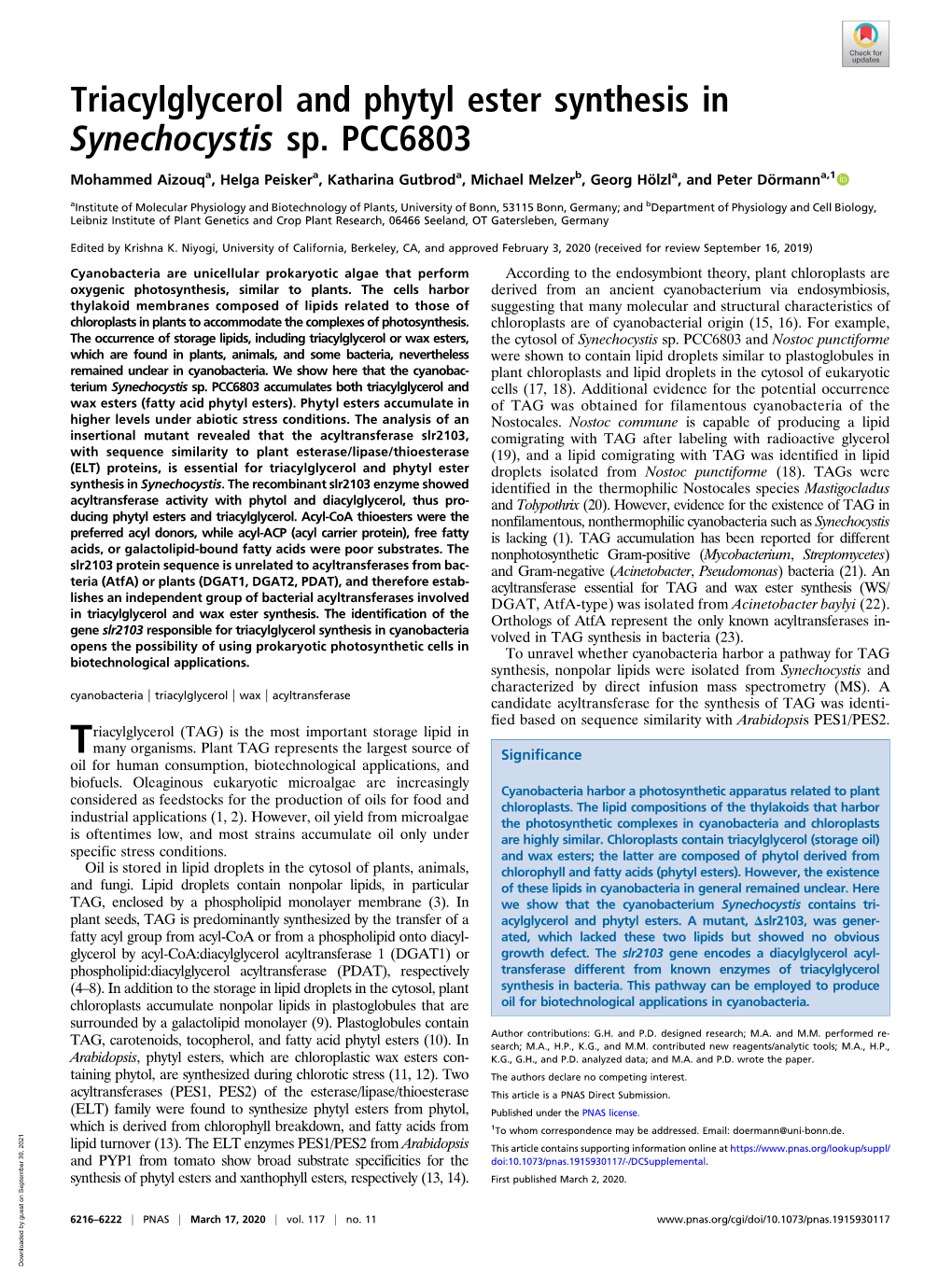 Triacylglycerol and Phytyl Ester Synthesis in Synechocystis Sp