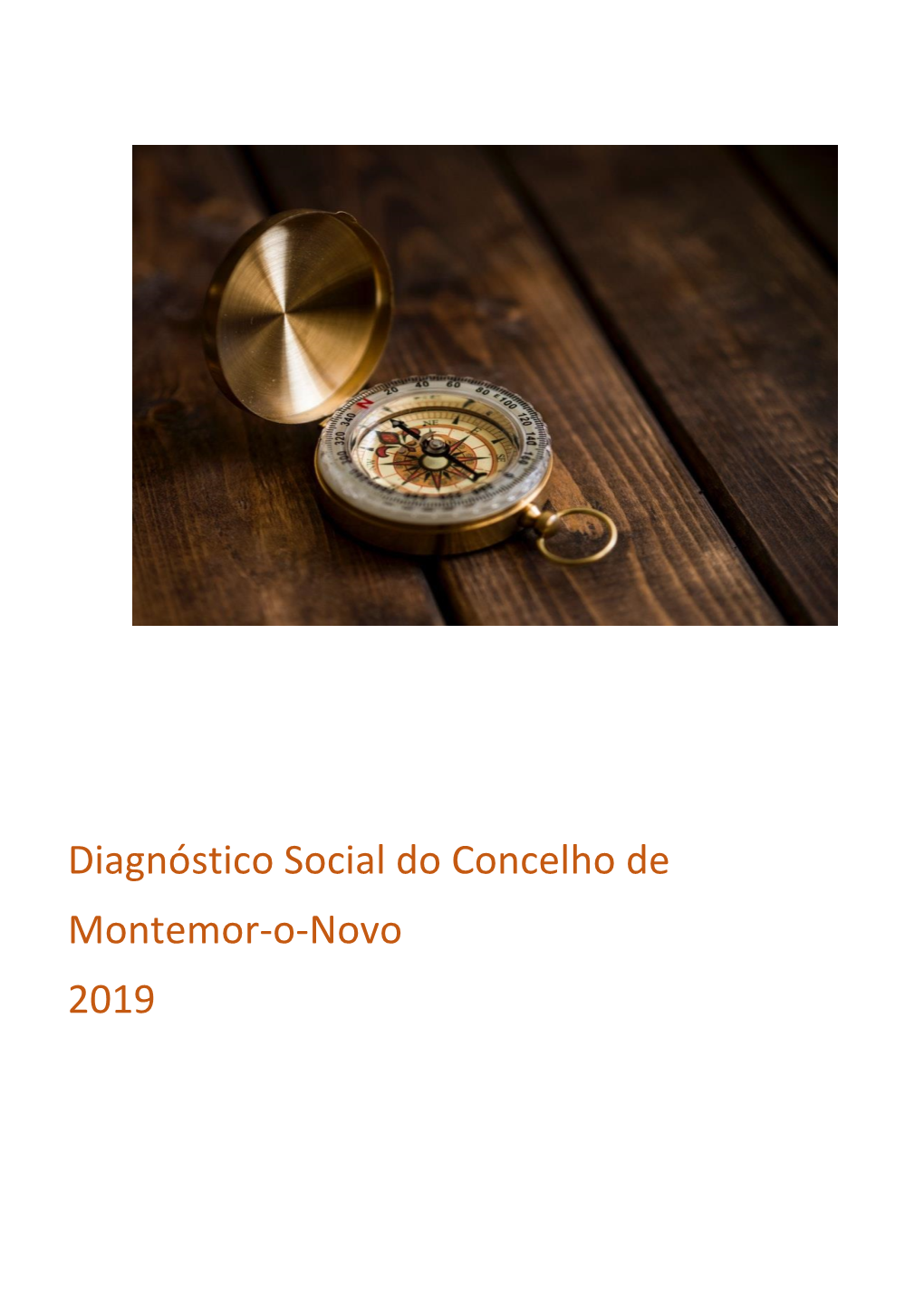 Diagnóstico Social Do Concelho De Montemor-O-Novo 2019