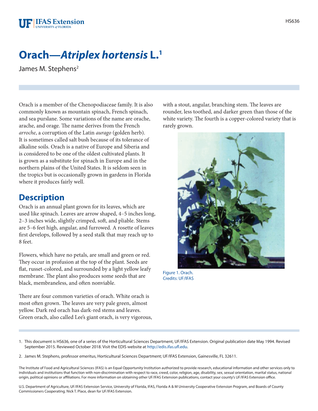 Orach—Atriplex Hortensis L.1 James M