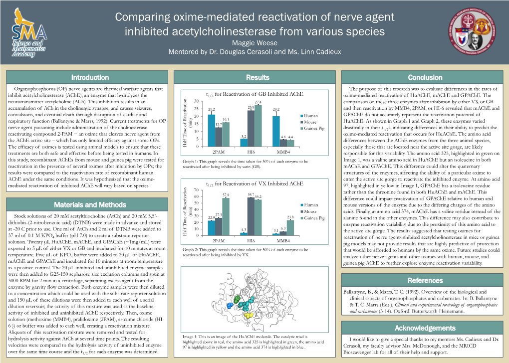 Comparing Oxime-Mediated Reactivation of Nerve Agent Inhibited Acetylcholinesterase from Various Species Maggie Weese Mentored by Dr