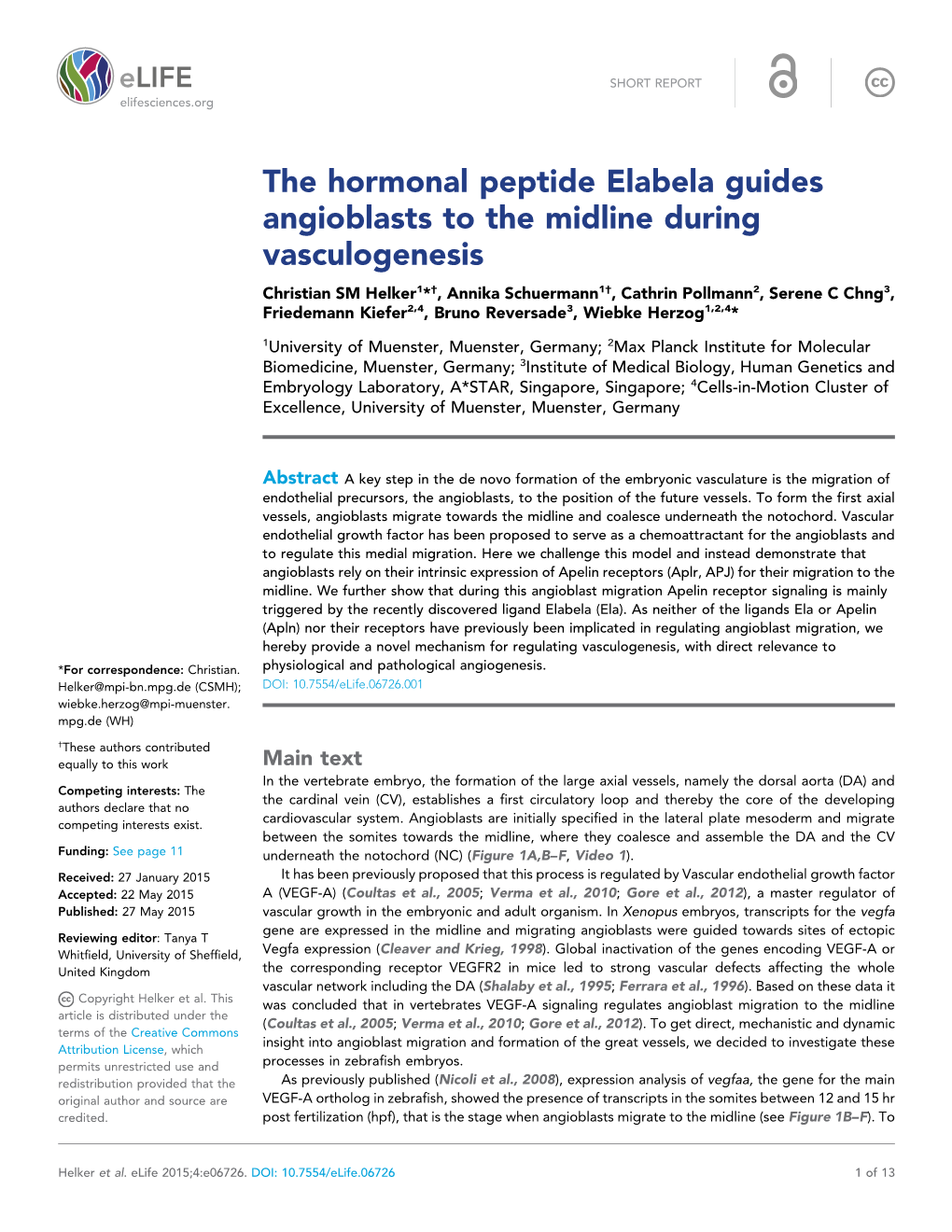 The Hormonal Peptide Elabela Guides Angioblasts to the Midline