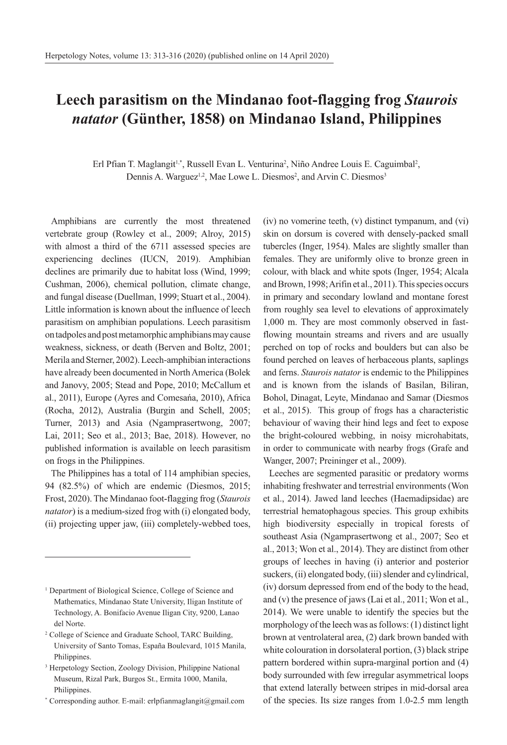 Leech Parasitism on the Mindanao Foot-Flagging Frog Staurois Natator (Günther, 1858) on Mindanao Island, Philippines