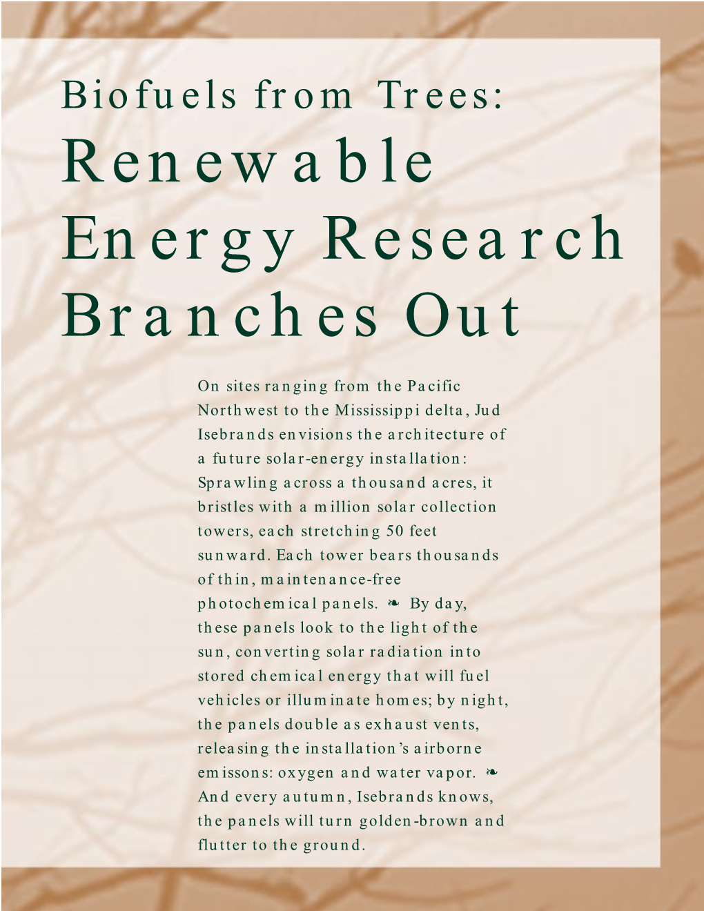 Biofuels from Trees: Renewable Energy Research Branches Out