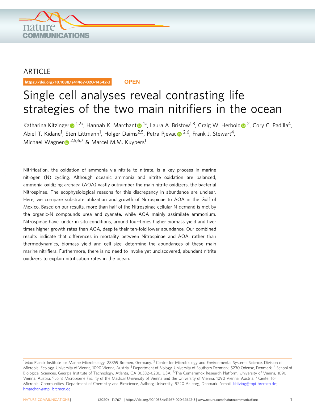 Single Cell Analyses Reveal Contrasting Life Strategies of the Two Main Nitriﬁers in the Ocean