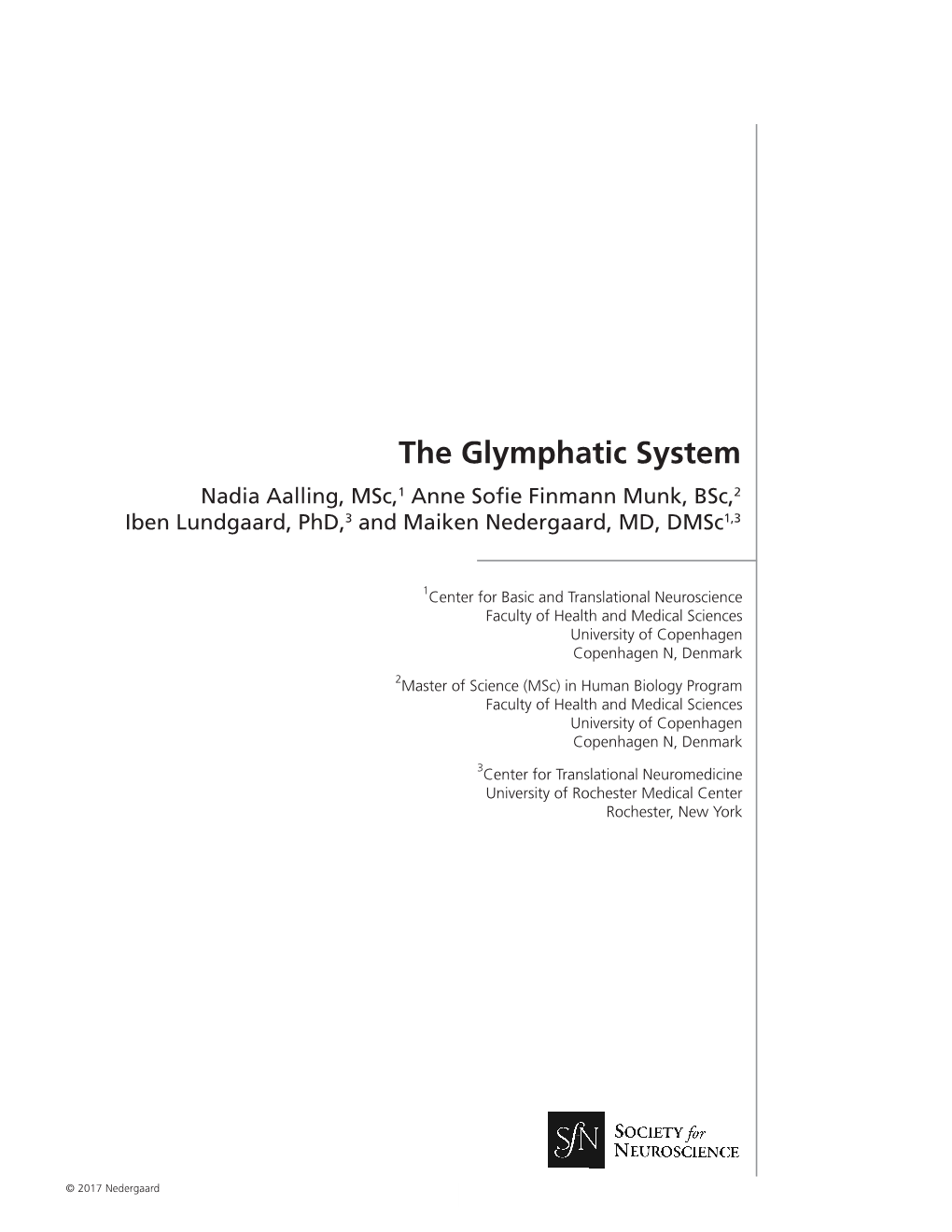 The-Glymphatic-System.Pdf