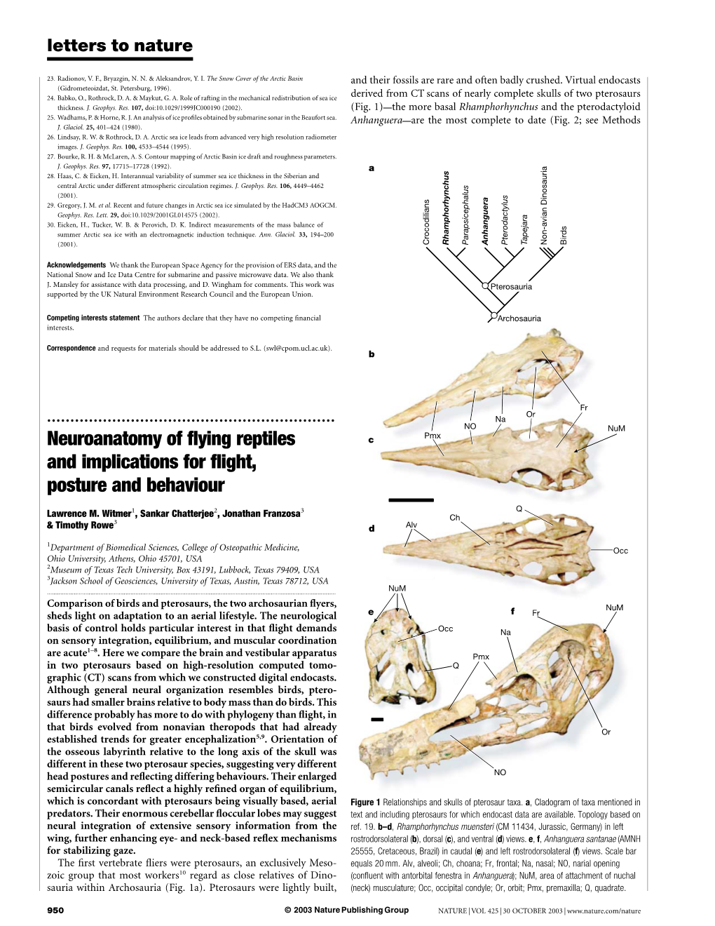 Neuroanatomy of Flying Reptiles And