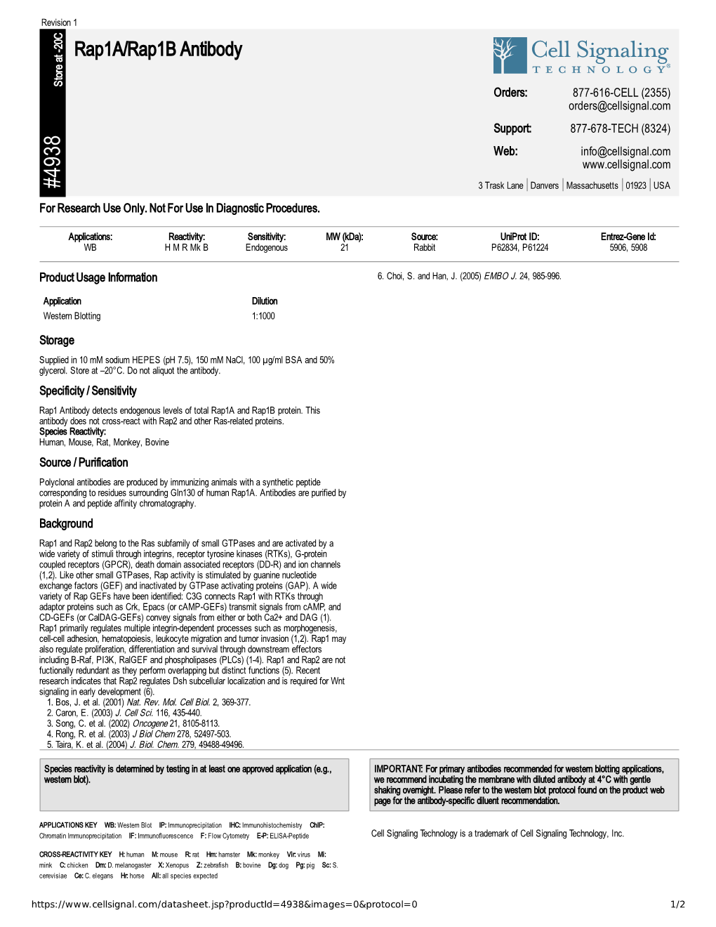 Rap1a/Rap1b Antibody A