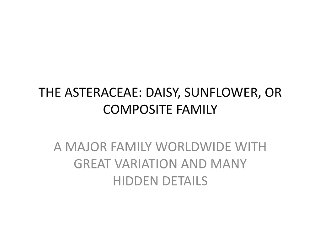 The Asteraceae: Daisy, Sunflower, Or Composite Family