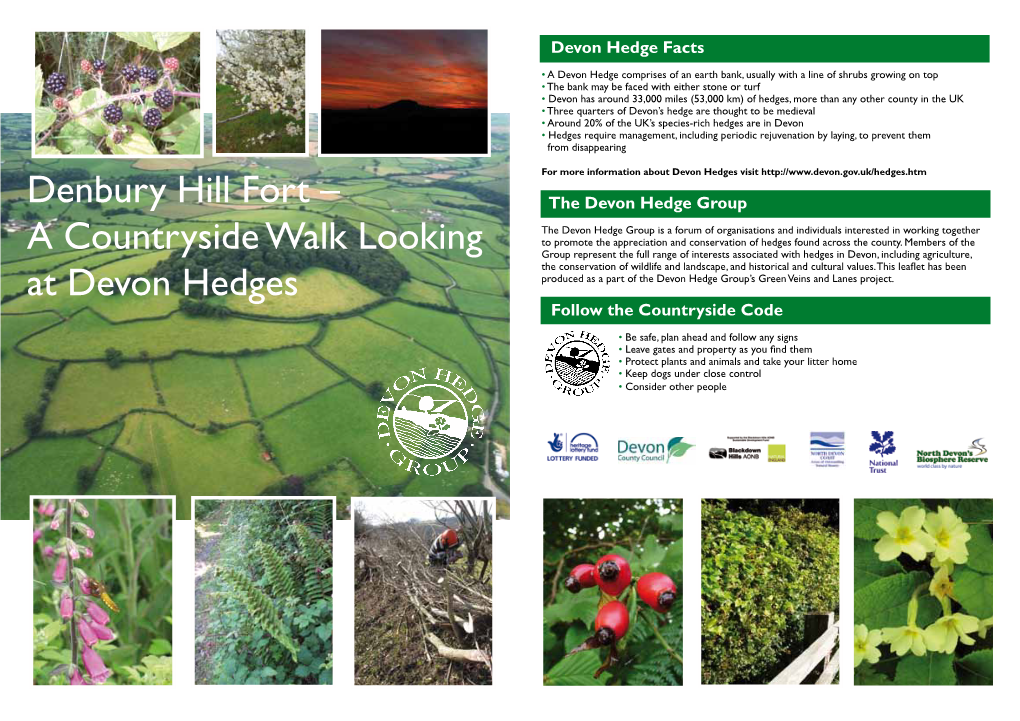 Denbury Hill Fort – the Devon Hedge Group