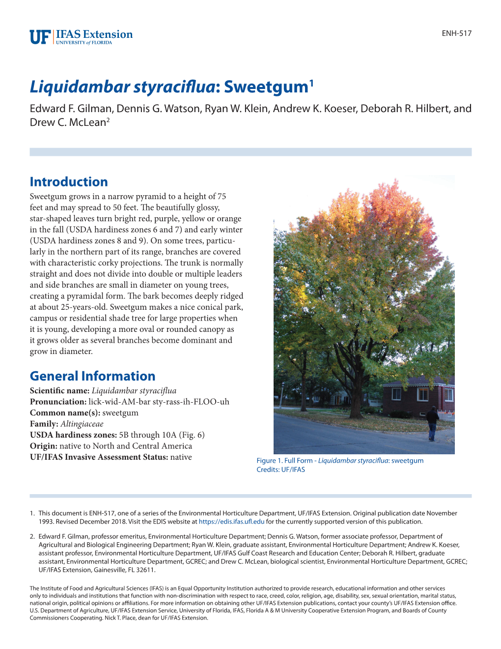 Liquidambar Styraciflua: Sweetgum1 Edward F