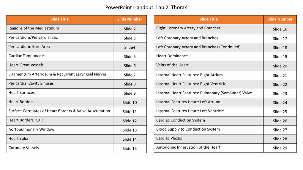 Powerpoint Handout: Lab 2, Thorax