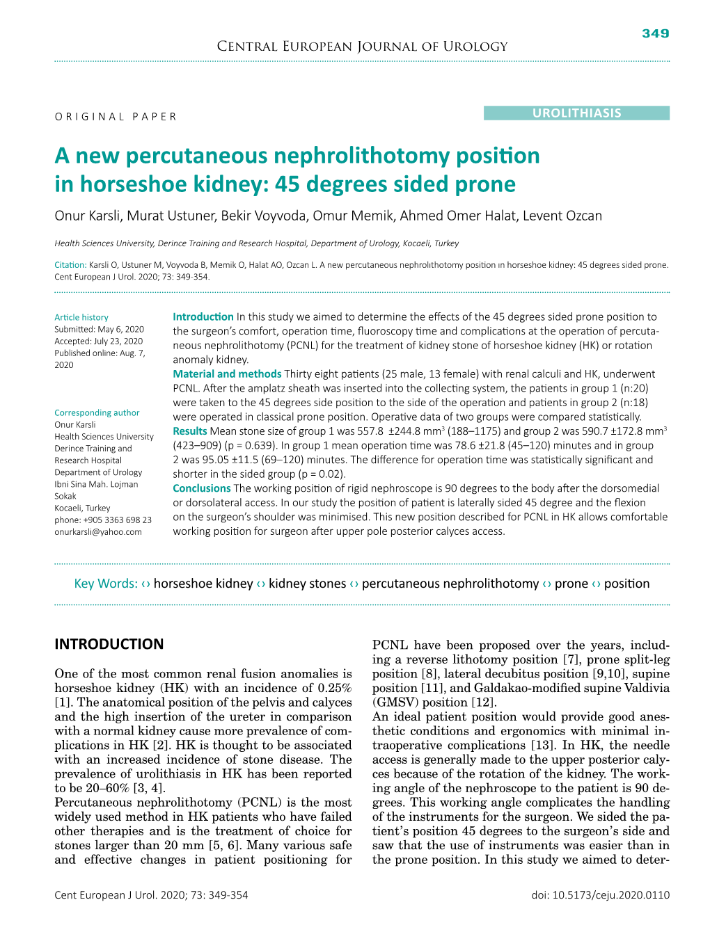 A New Percutaneous Nephrolithotomy Position in Horseshoe Kidney