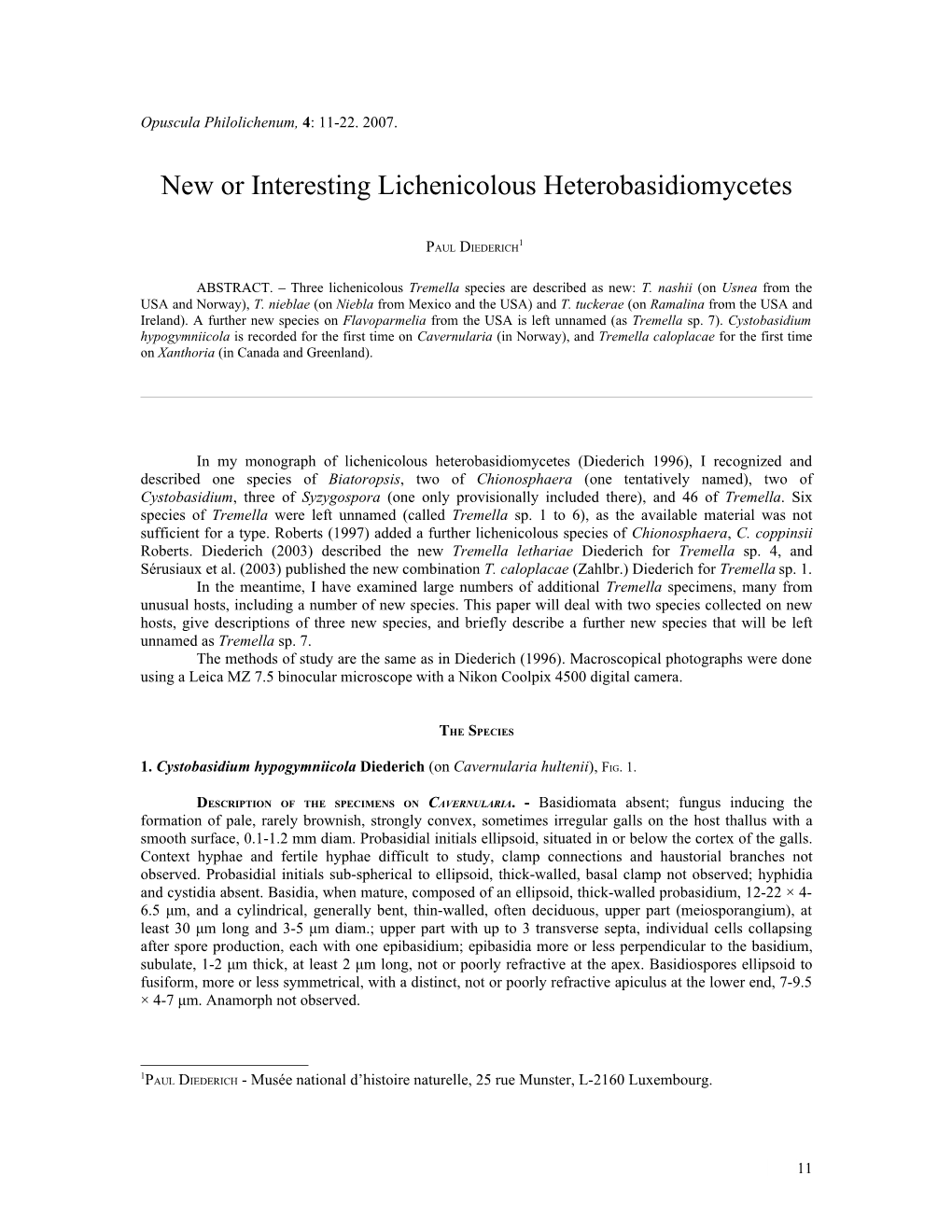 New Or Interesting Lichenicolous Heterobasidiomycetes