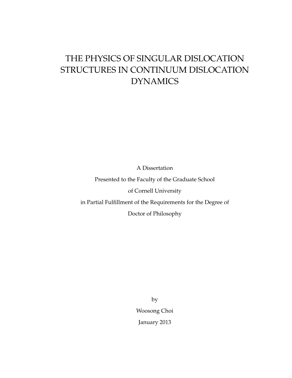 Physics of Singular Dislocation Structures in Continuum Dislocation Dynamics