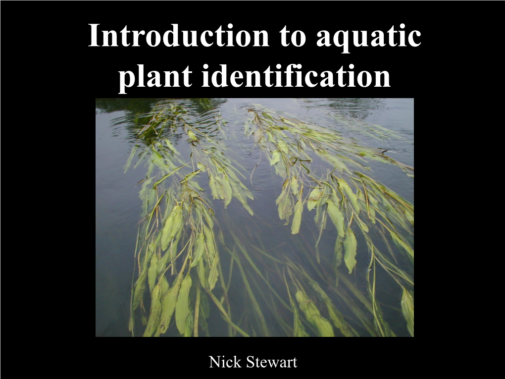 Introduction to Aquatic Plant Identification