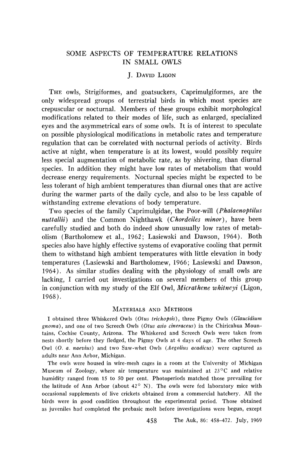 Some Aspects of Temperature Relations in Small Owls