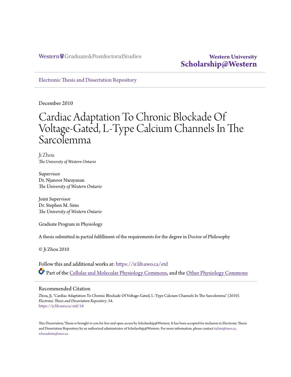 Cardiac Adaptation to Chronic Blockade of Voltage-Gated, L-Type Calcium Channels in the Sarcolemma Ji Zhou the University of Western Ontario
