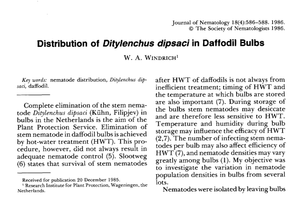 Distribution of Ditylenchus Dipsaci in Daffodil Bulbs
