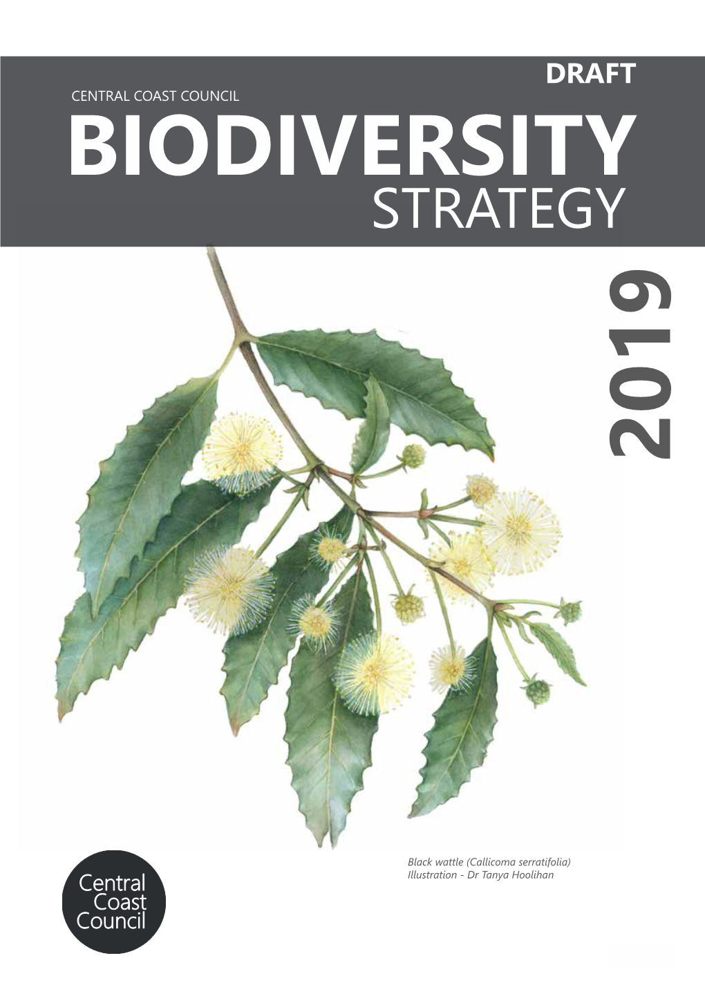 Draft Biodiversity Strategy 2019