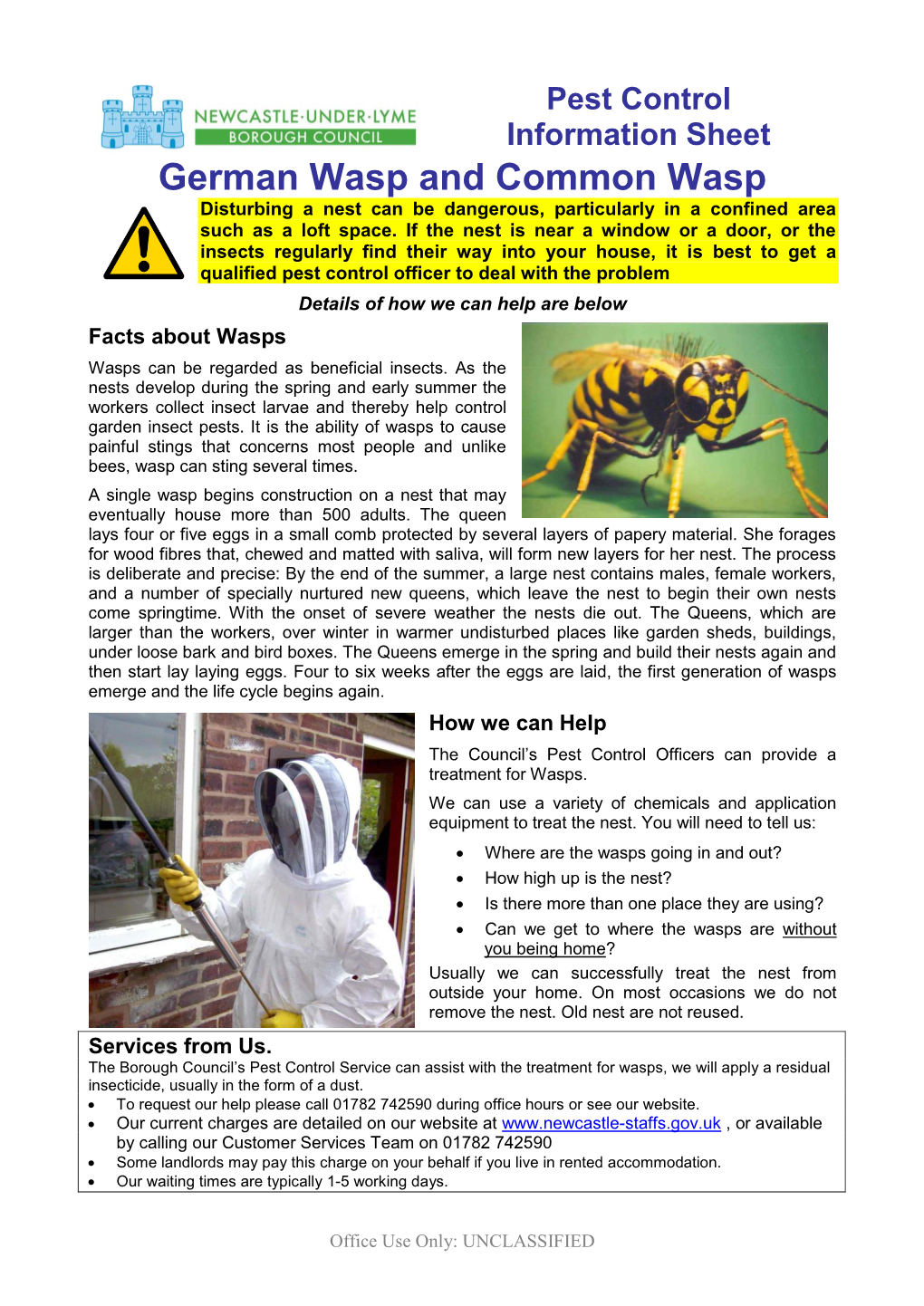 German Wasp and Common Wasp Disturbing a Nest Can Be Dangerous, Particularly in a Confined Area Such As a Loft Space