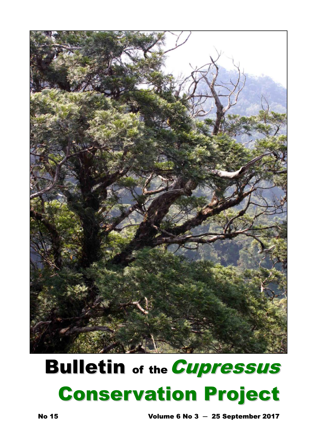 Arizona Cypress Grove Trip Report 2015